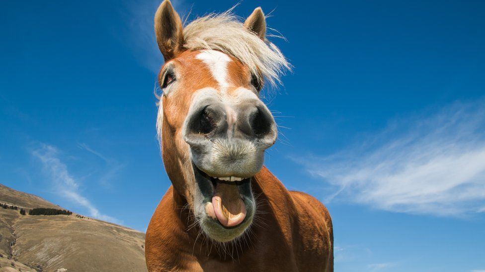 Course image - boost